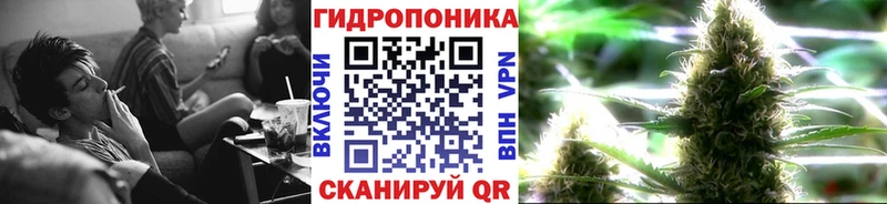 Канабис Bruce Banner  Купить закладки  Химки 